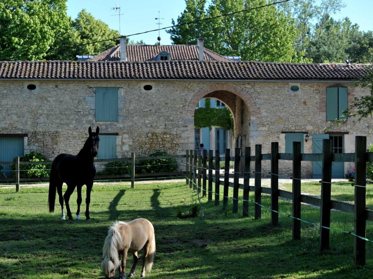 Chateau De L'Isle - Chambres D'Hotes Castelnau-de-Médoc Exterior foto